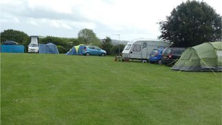 tents with cars