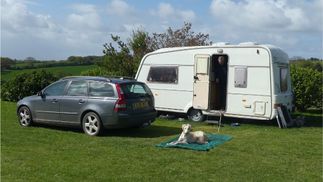 caravan and dog