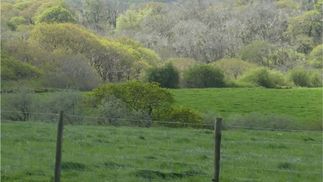 countryside view