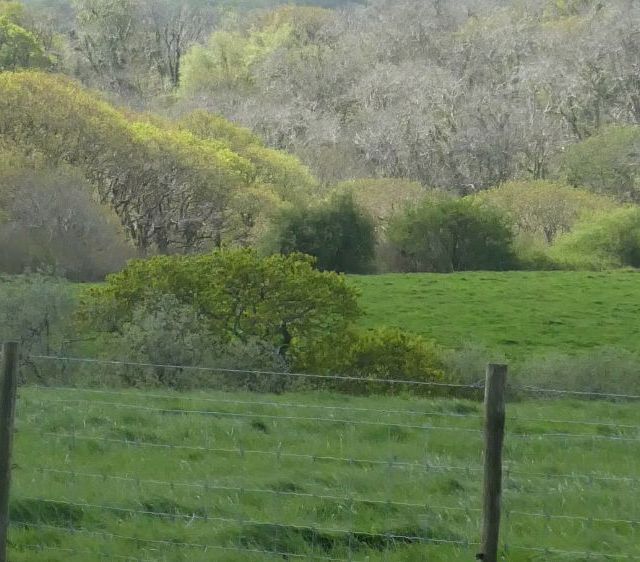 countryside view