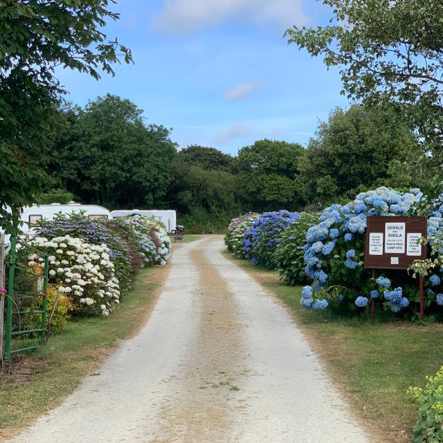 gorgeous entrance